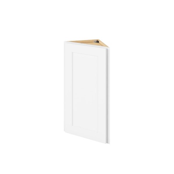 Cooper - 12" x 30" Wall End Cabinet, 1 Door, 2 Shelves in White CWH-WEC1230